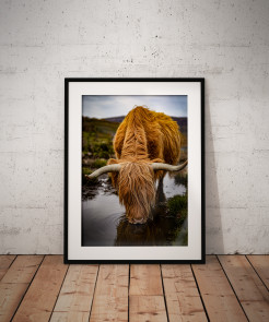 To buy a print or any of the below please click on the images